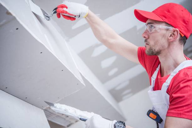 Fanning Springs, FL Drywall & Painting Services Company